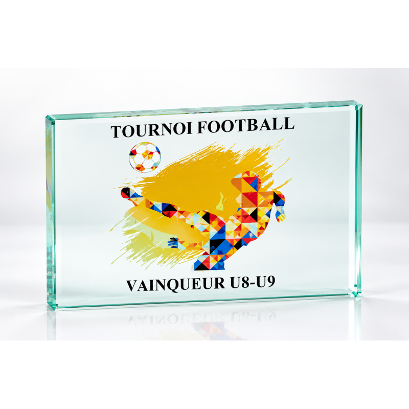 Trophée Verre Marquage couleur 155-21 - Logo personnalisé