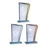 Trophée verre personnalisé – création sur mesure | 172-41-LO-CLI