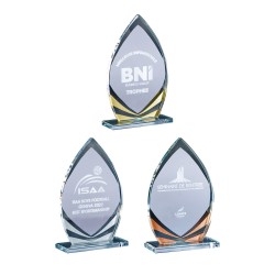 Trophée verre personnalisé – création sur mesure | 172-21-LO-CLI
