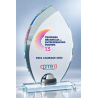 Trophée verre personnalisé – création sur mesure | 171-31-LO-CLI