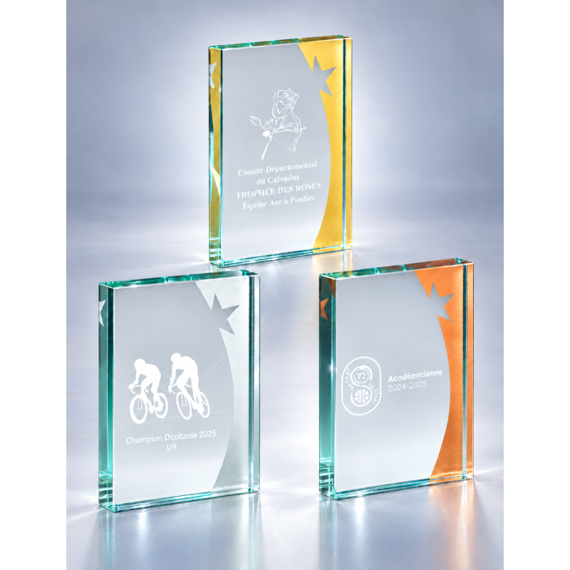 Trophée Verre Gravure Laser 168-31 - Logo personnalisé