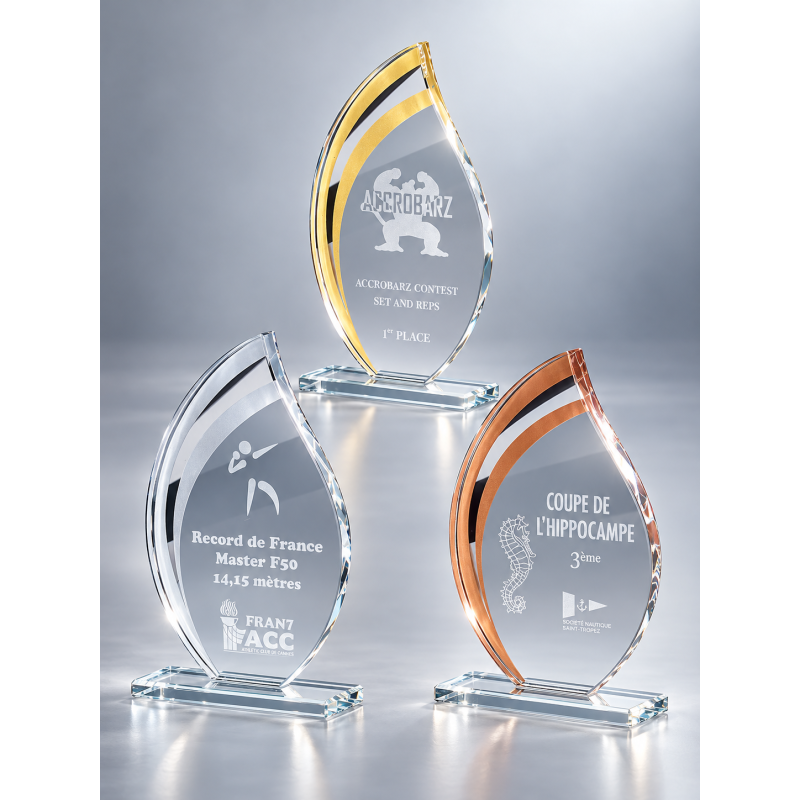 Trophée Verre Gravure Laser 170-01 - Logo personnalisé