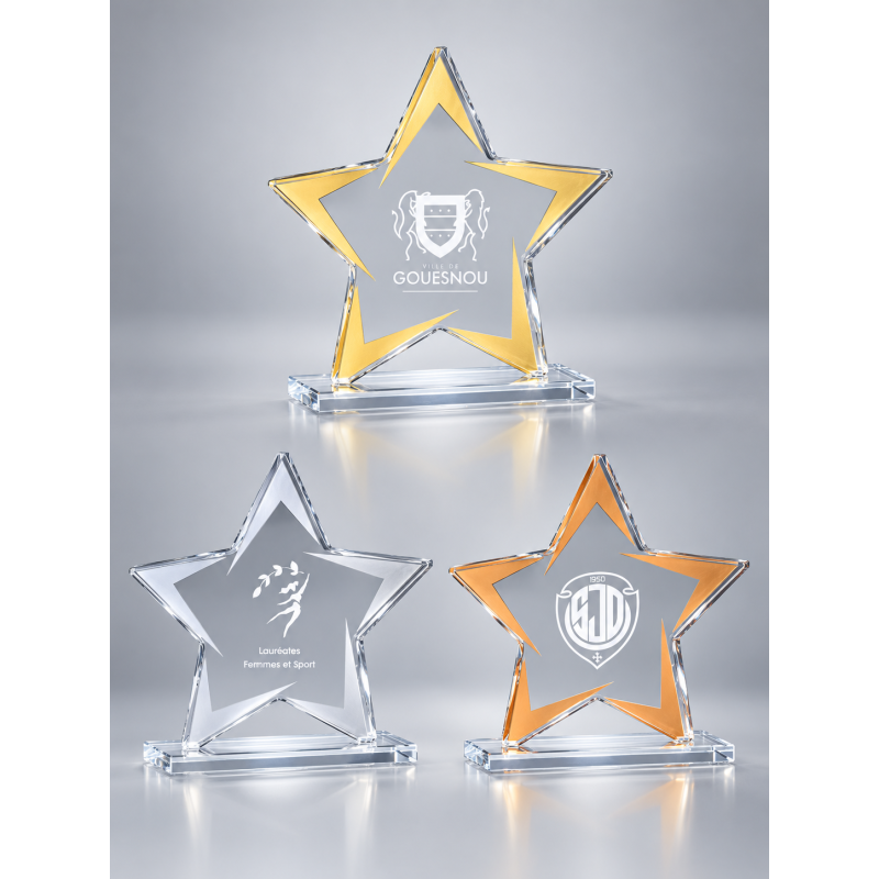 Trophée Verre Gravure Laser 173-01 - Logo personnalisé