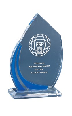 Trophée Plexiglass Personnalisé - Y