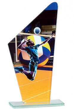Trophée Verre Volley-ball 66119