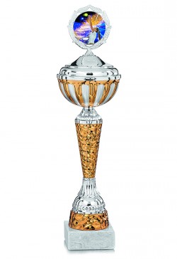 Coupe Trophée Métal Coupe Trophée Or et Argent Trophée Award Gravure  personnalisée -  France