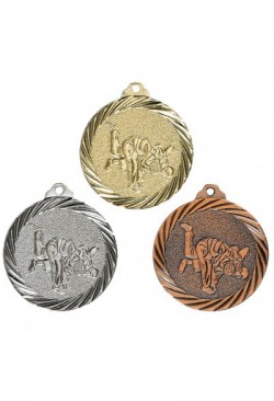 Médaille Ø 32 mm Judo  - NX11
