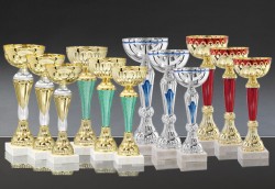 Lot de 12 Coupes : 2022-116