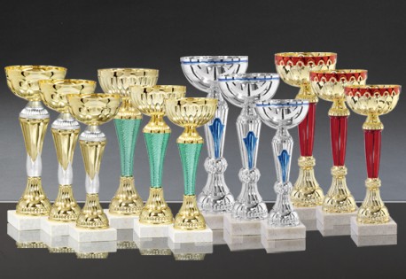 Lot de 12 Coupes : 2022-116
