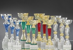 Lot de 12 Coupes : 2022-516