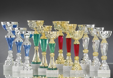 Lot de 12 Coupes : 2022-516