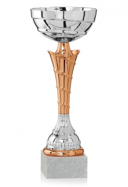 Coupe Économique Métal : 1901