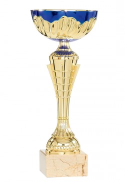 Coupe Économique Métal : 2221