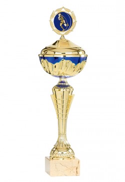 Coupe Personnalisée Métal : 2221W-C