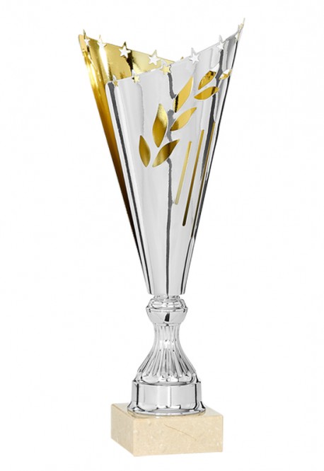 Coupe Laser Métal : 3521