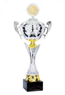 Coupe Personnalisée Métal : 4251W-C