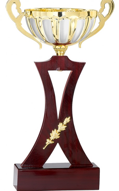 Coupe Prestige Métal et Bois : 6721