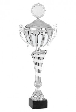Coupe Personnalisée Métal : 4212DEW-C