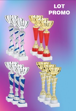 Lot de 12 Coupes : 2025-3