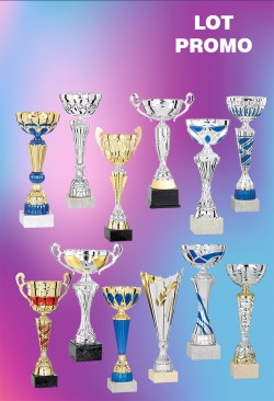 Lot de 12 Coupes : 2025-4