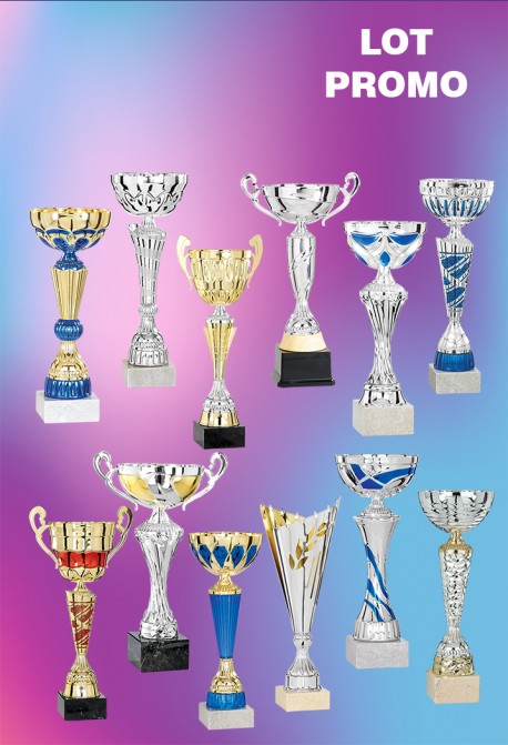 Lot de 12 Coupes : 2025-4