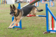 logo_5400042_3930645