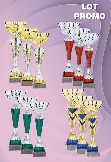 Lot de 12 Coupes : 2025-3