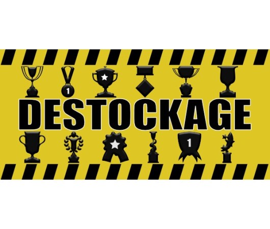 Déstockage coupes, trophées et médailles pas chers | AFB