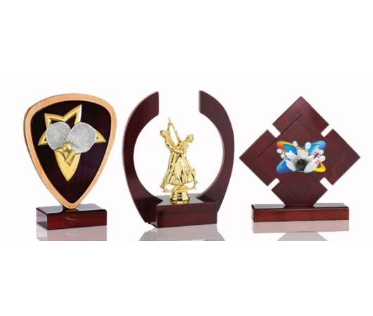 TROPHÉES BOIS