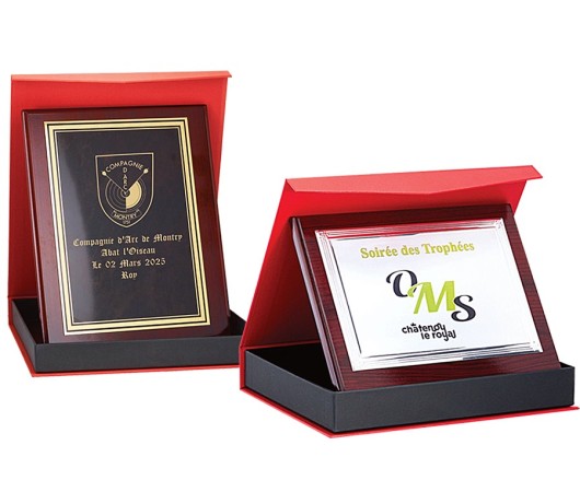 Plaques de distinction personnalisées | AFB