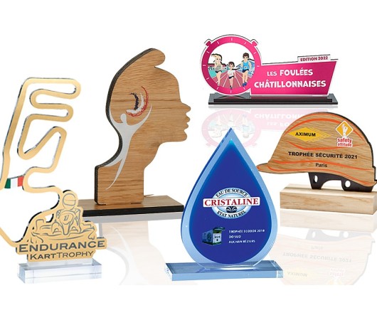 Trophée création sur mesure | AFB Récompenses