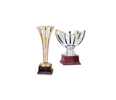 LOT DE 24 Statuettes de TrophéEs en Plastique Award pour les Fave8211