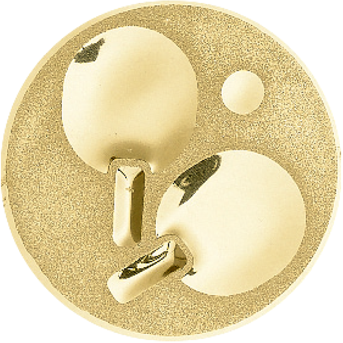 Médaille Personnalisée Ø 45 mm - 026