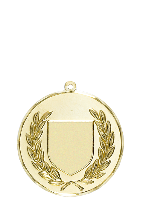 Médaille Mairie Ø 50 mm Logotée - A33