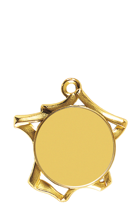 Médaille Mairie Ø 70 mm Logotée – F3LO